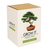 Grow Your Own Bonsai Tree packaging