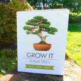 Grow Your Own Bonsai Tree packaging