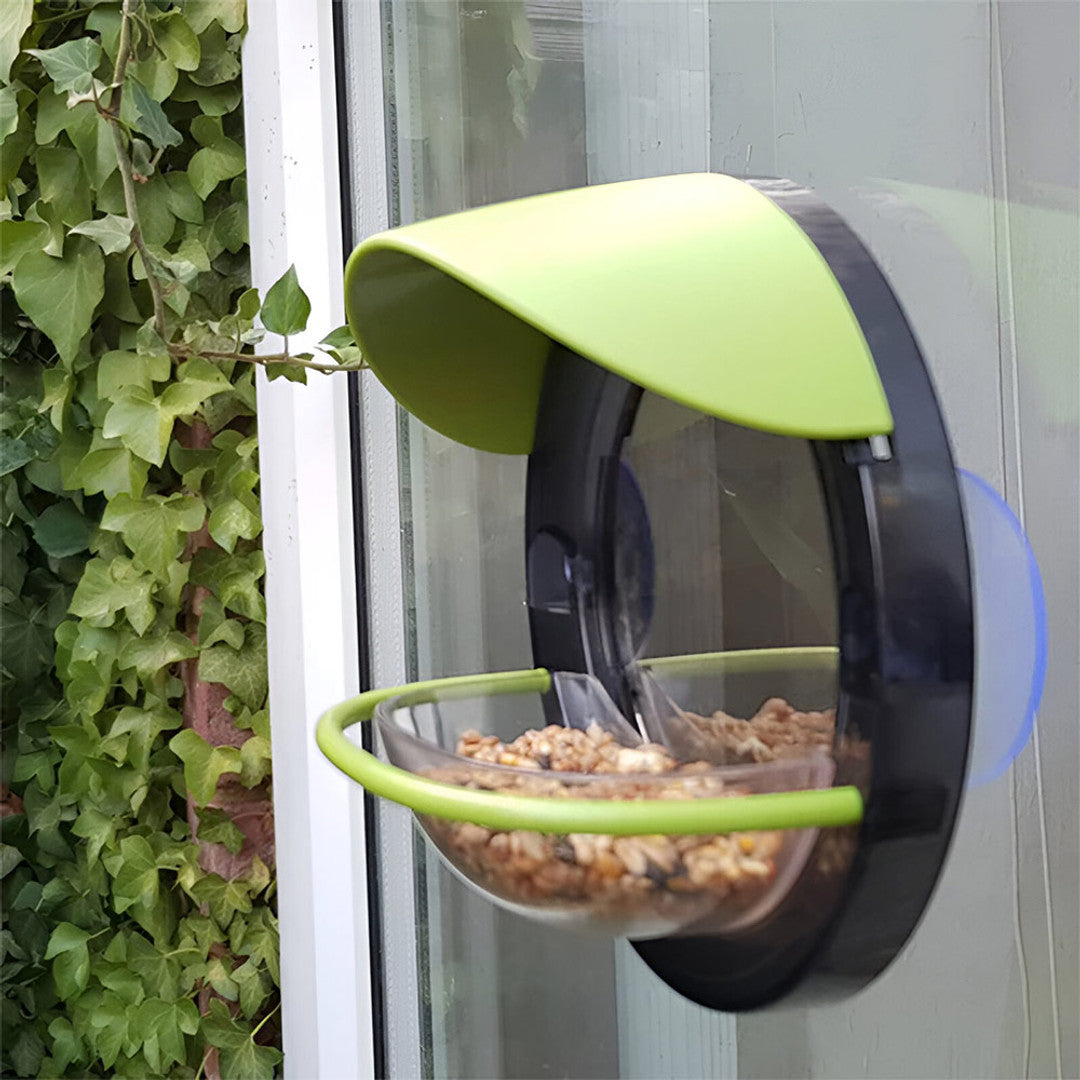Window Bird Feeder