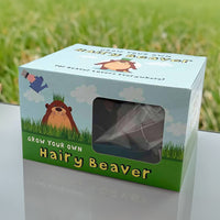 Grow Your Own Hairy Beaver