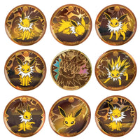 Pokemon - Simplified Chinese - Terastal Grand Gathering - Blind Badge Box