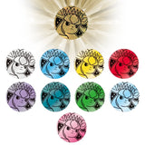 Pokemon - Simplified Chinese - Terastal Grand Gathering - Coin Set (Glaceon)